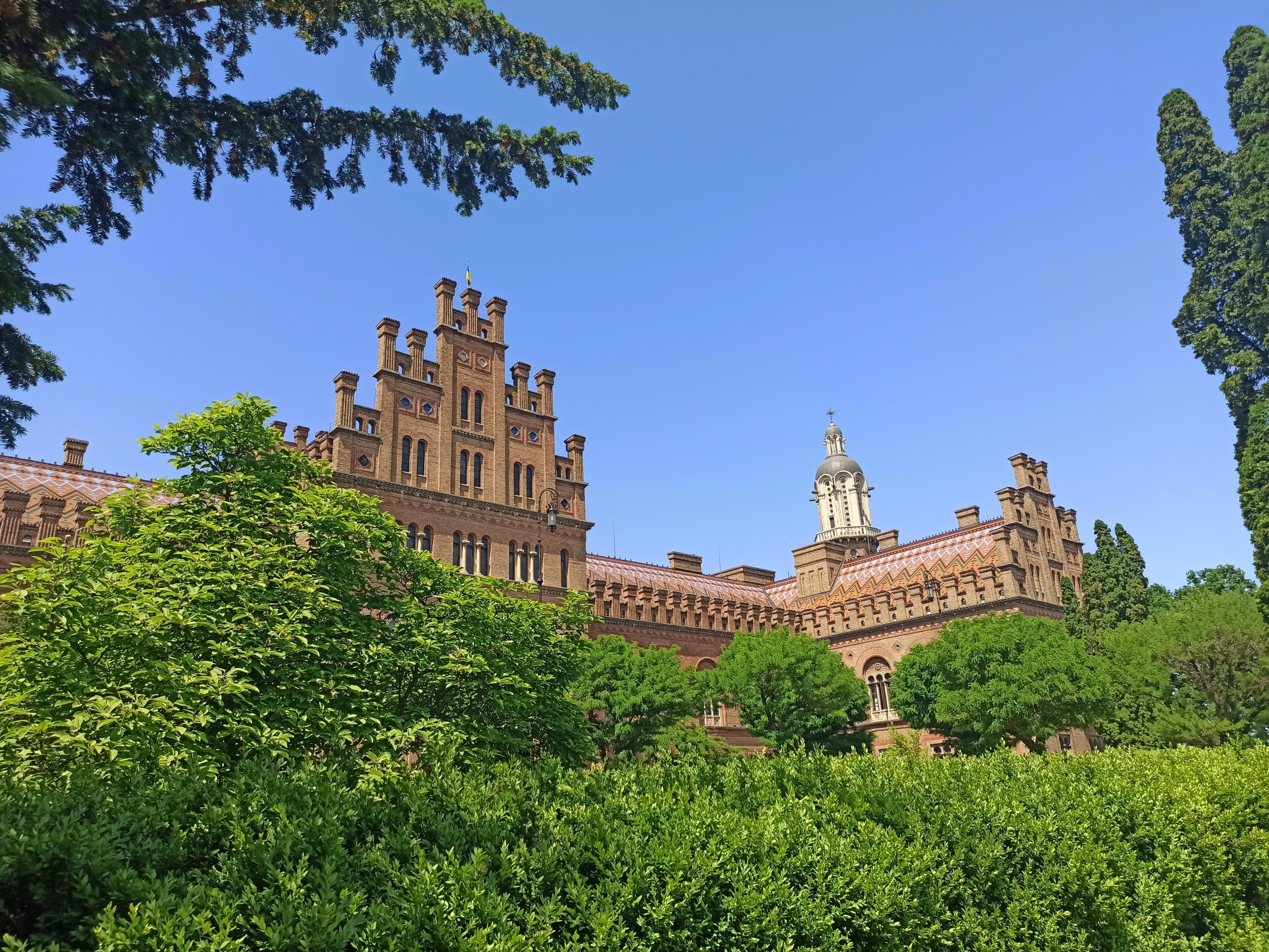 Universitatea din Cernăuți