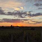 Am fost la Singur Acasă X – Tot ce-a copt vara, în vie la Murfatlar: preparate dobrogene reinterpretate, vinuri, povești și o experiență culinară aparte.